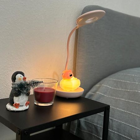 Appartement Au Coeur 斯特拉斯堡 外观 照片