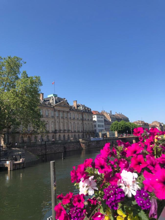 Appartement Au Coeur 斯特拉斯堡 外观 照片